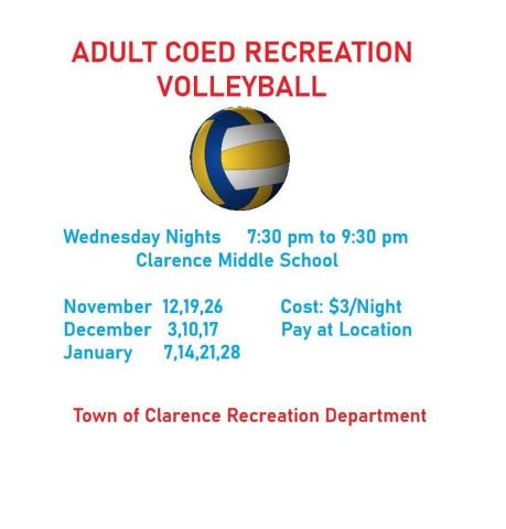 Adult Co-ed Volley Ball