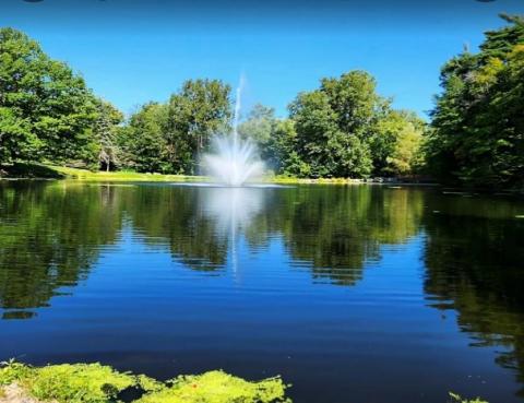 Pond