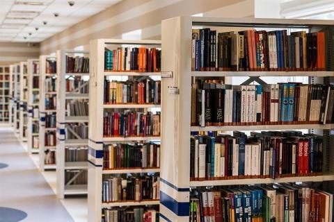 shelves of books