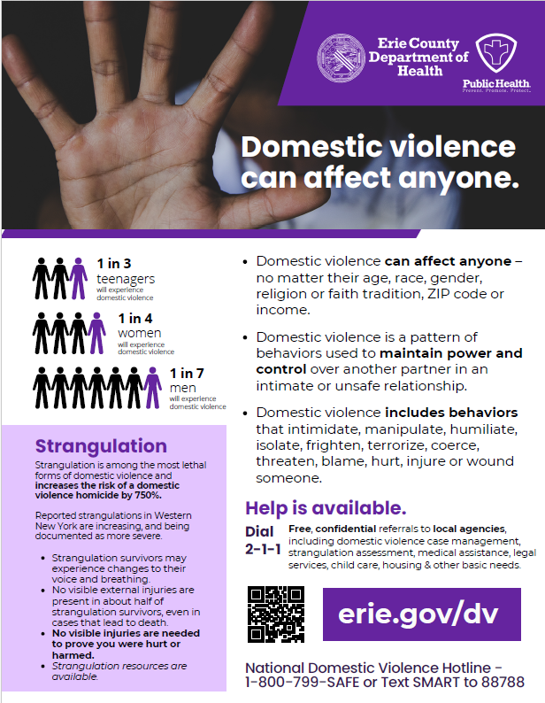 Domestic violence fact sheet. Click on image for fact sheet. 