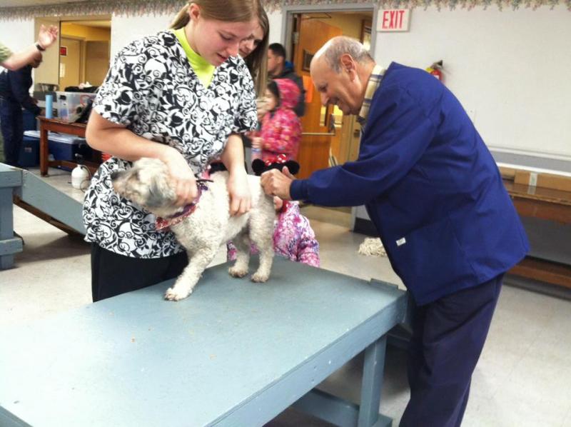 Rabies clinic
