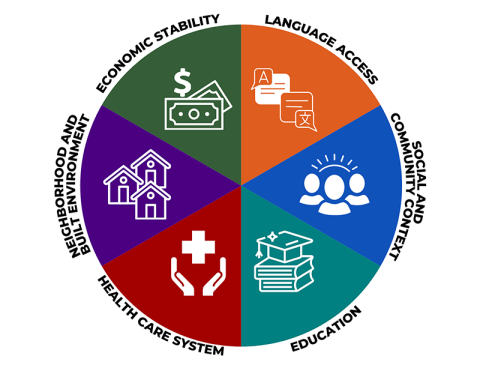 circle showing the six domains of social determinants of Health & Transportation