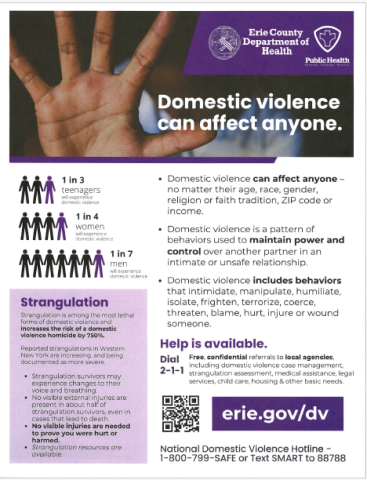 Domestic Violoence Statistics 