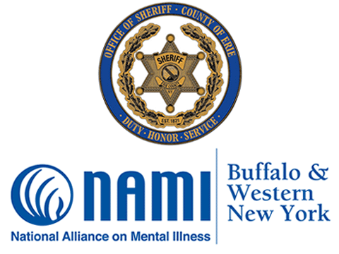 NAMI Project logo