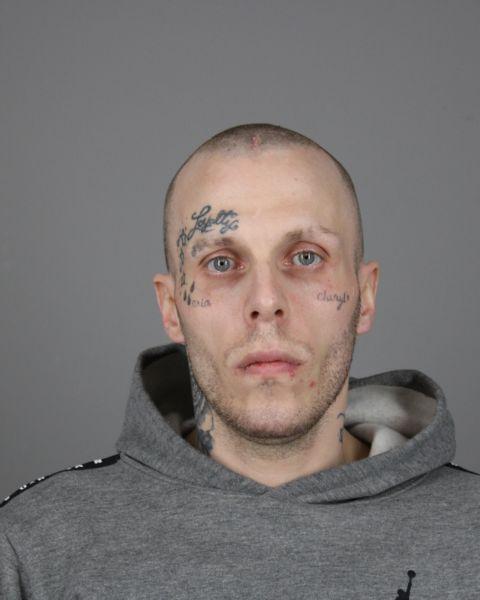 AlexanderLermineau