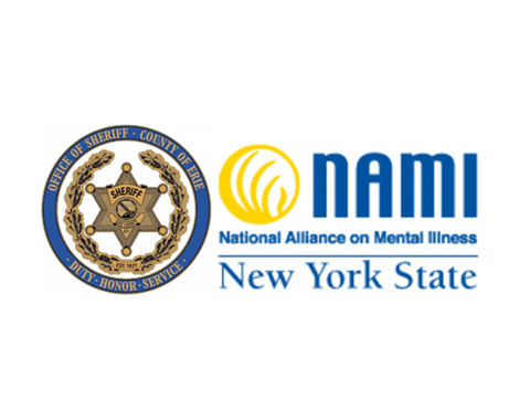 NAMI Project logo